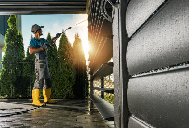 Professional Pressure Washing in Trinity, FL