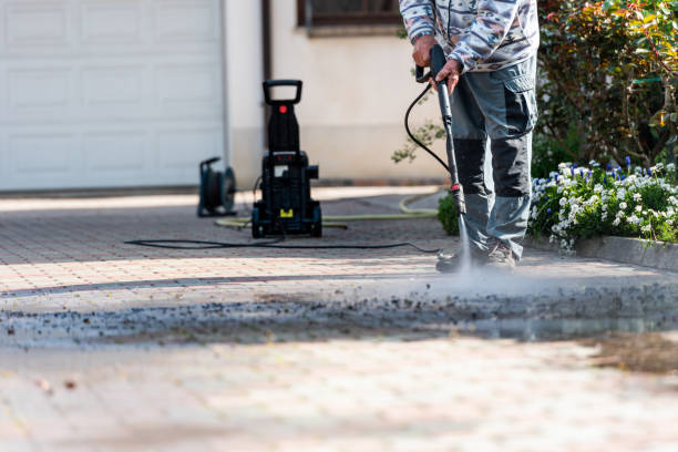 Best Deck Cleaning Services  in Trinity, FL