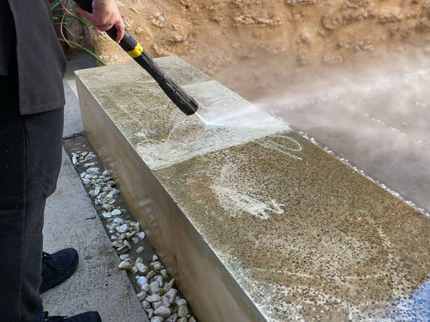 Best Roof Pressure Washing  in Trinity, FL