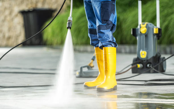 Best Pressure Washing Company Near Me  in Trinity, FL